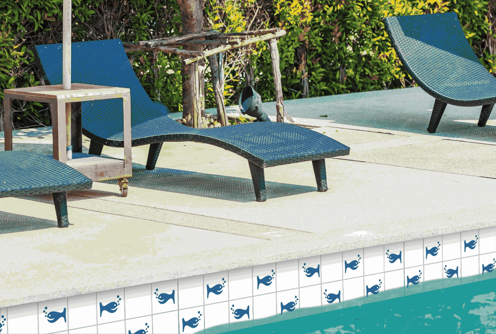 Baleia-Azul-Piscina (1