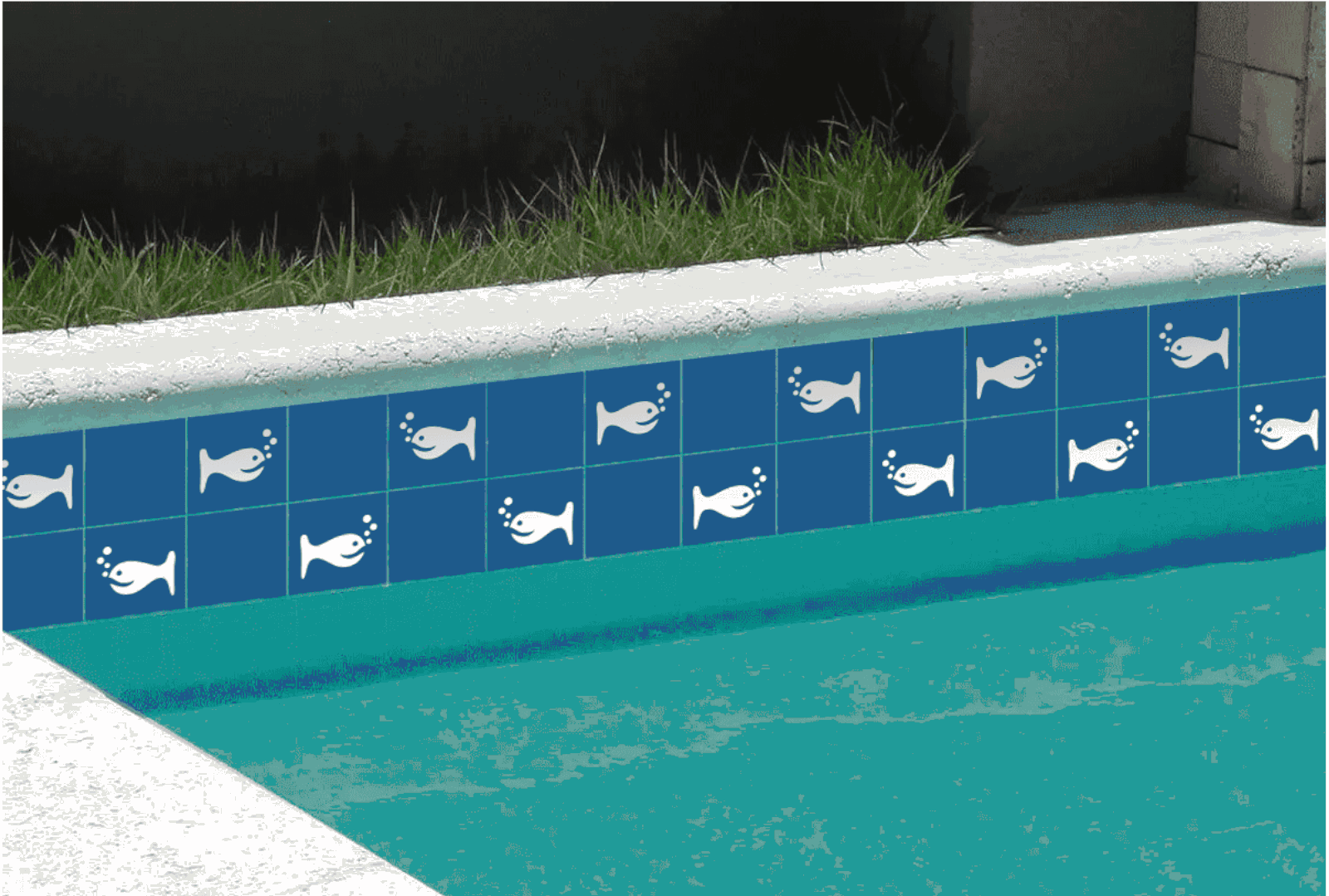 Baleia-Branca-Piscina-2