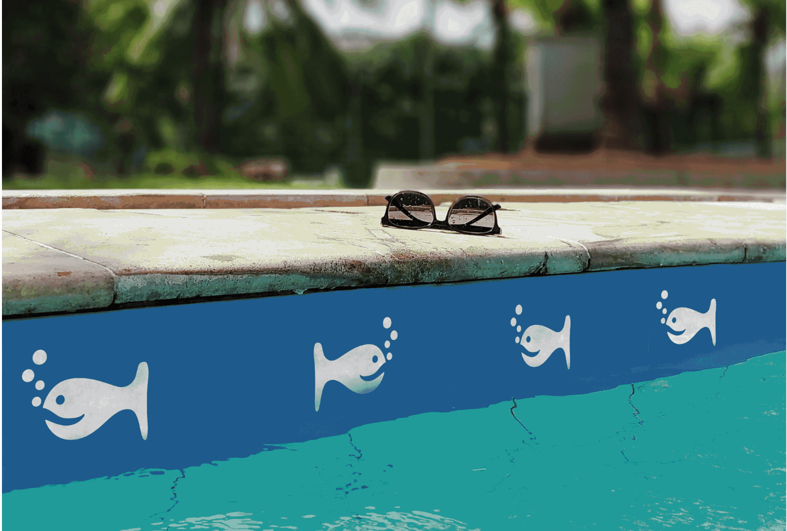 Baleia-Branca-Piscina